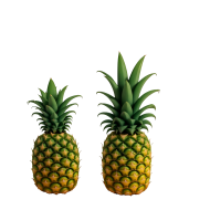 pineapples on transparent background