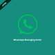 WhatsApp Messaging Script