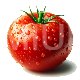 Tomato ai image on transparent background