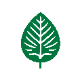 Green leaf icon vector design