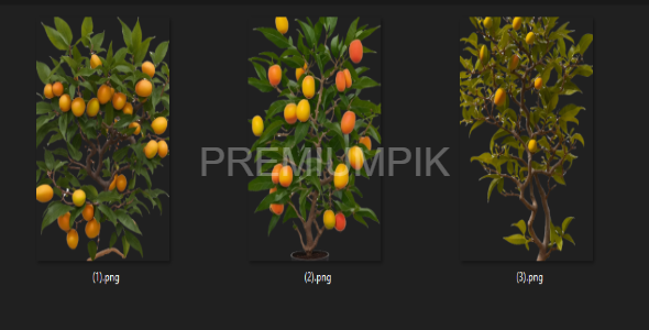 Tree on a Transparent Background